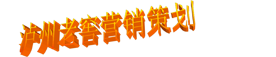 泸州老窖市场营销策划ppt