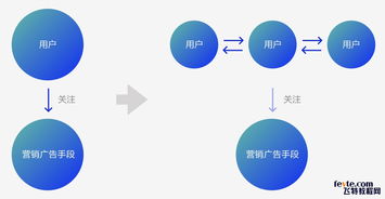 打造双11网红爆款 天猫精灵全链路营销设计策略